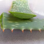 Aloe vera: voordelen en gebruik