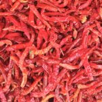 Kruiden bij lage rugpijn